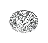 Applique/ Plafonnier Artemide CALIPSO Blanc 2700K Artemide APP
