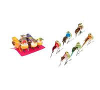 Artemio 13001005 Lot de 6 Oiseaux Multicolores sur Pince, 5 cm x 6 cm x 2,5 cm & Set de 6 Oiseau Miniature, Autre, Multicolore, 3,7 x 2,5 x 5,3 cm 13001021