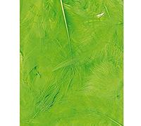 Artemio - 3 G et Plumes, Vert