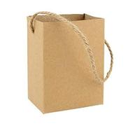 Artemio Pot Sac en Papier avec Mousse polystyrène 9.5x7x5 cm