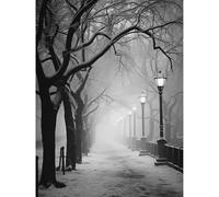 Artery8 Snow Covered Street in the Misty Glow of Light Posts Atmospheric Black and White Photograph Winter Scene Large Wall Art Poster Print Thick Paper 18X24 Inch