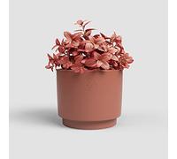 Artevasi Echo Pot, Flower Pot, Home Decoration, 16,5cm Diameter, Terracotta