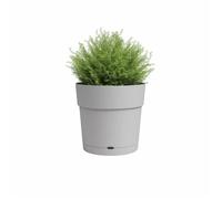 Artevasi Pot de fleurs rond CAPRI LARGE en plastique avec réserve d'eau, diamètre 30 cm, gris clair, dimensions 29,5 x 29,5 x 28,2 cm