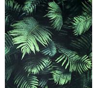 Arthouse | Papier peint mural vert fougère photographique | Effet 3D Feuilles vert foncé | Facile à appliquer | Papier peint à coller | 1005 x 53 cm