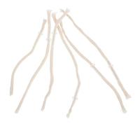 Artibetter 6 Mèches de Lampe à Pétrole en Coton avec Tube en Verre, Lot de 6 Pièces, Mèche Réglable et Anti-Fuite pour Camping et Décoration Extérieure