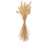 Artifêtes Arty Fetes Factory - Bouquet DE 50 PHALARIS SÉCHÉS 60CM Naturel