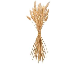 Artifêtes Arty Fetes Factory - Bouquet DE 50 PHALARIS SÉCHÉS 60CM Naturel