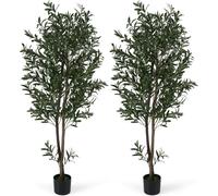 Artificial Olive Trees Set, 1.8m with Fruits & Moss