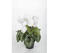 Artificielles.com - Cyclamen artificiel en pot 7 têtes H 33 cm Blanc neige - couleur: Blanc neige