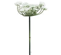 Artificielles.com - Fleur de carotte sauvage artificielle en tige, H 72 cm Crème - BEST - couleur: Crème