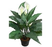 Artificielles.com - Spathiphyllum artificiel en pot H 43 cm 20 feuilles et 5 fleurs