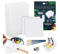 Artina Kit peinture acrylique 24pcs avec couleurs toile pinceaux set | 8x12ml acryliques 30x40cm & 20x20cm set artiste pour enfant adulte débutants amateurs Artistes palette loisirs pièces Corsica