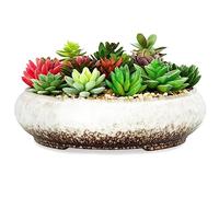 ARTKETTY Grand Pot de Fleurs en céramique émaillée pour Plantes Grasses d'intérieur et d'extérieur 29 cm