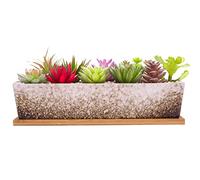 ARTKETTY Grand Pot de Fleurs rectangulaire en céramique de 30,5 cm avec Plateau de Drainage, pour Cactus d'intérieur, Plantes succulentes, bonsaï Peu Profond, décoration de Jardin (Blanc)