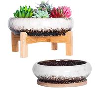 ARTKETTY Grand Pot de Plantes succulentes avec Plateau de Drainage Pots de bonsaï Peu Profonds avec Support Pot de Fleurs de Cactus en céramique pour Plantes d'intérieur (18,5 et 25 cm)