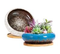 ARTKETTY Lot de 2 Grands Pots de Plantes succulentes avec Drainage, Pots de bonsaï Peu Profonds avec Plateaux, Bol en céramique pour Plantes de Cactus d'intérieur et d'extérieur