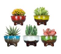 ARTKETTY Lot de 5 Petits Pots à succulentes en céramique émaillée avec Drainage pour Cactus, Fleurs et Plantes d'intérieur, 10,2 cm