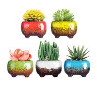 ARTKETTY Lot de 5 Pots de Fleurs succulentes en céramique de 12 cm avec Trou de Drainage pour intérieur/extérieur
