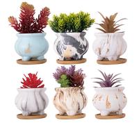 ARTKETTY Lot de 6 Petits Pots de Fleurs en marbre avec Plateau de Drainage pour intérieur et extérieur