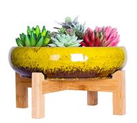 ARTKETTY Pot de Fleurs, Grand Pot de Succulentes avec Drainage Pot de Bonsaï Rond avec Support Pot en Céramique pour Plantes Cactus