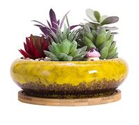 ARTKETTY Pot de Fleurs, Grand Pot de Succulentes de 15,5 Cm avec Drainage Pot Rond de Bonsaï et Plateau Pot en Céramique pour Plantes de Cactus