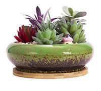 ARTKETTY Pot de Fleurs, Grand Pot de Succulentes de 15,5 Cm avec Drainage Pot Rond de Bonsaï et Plateau Pot en Céramique pour Plantes de Cactus
