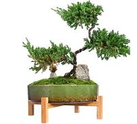 ARTKETTY Pots de Fleurs - Pot de bonsaï en céramique avec Drainage - Grand Pot de Fleurs pour Plantes Grasses d'intérieur - Pot de Fleurs décoratif avec Support