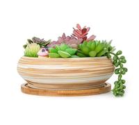 ARTKETTY Pots de Fleurs succulentes - Grand Pot à bonsaï de 18,5 cm avec Plateau de Drainage, Pots Peu Profonds pour Plantes d'intérieur et Plantes Grasses, Bol décoratif pour Fleurs et Cactus