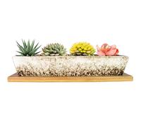 ARTKETTY Pots de Plantes succulentes rectangulaires en céramique de 9,8 Pouces de Long avec Drainage, Petit Pot de Cactus à Fleurs avec Plateau Bonsai Plant Window Box pour intérieur/extérieur