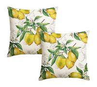 Artoid Mode Lot de 2 housses de coussin d'été - 45 x 45 cm - Décoration saisonnière pour le printemps, le canapé, le salon