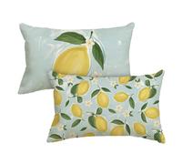 Artoid Mode Lot de 2 housses de coussin d'été au citron - 30 x 50 cm - Décoration saisonnière pour canapé, salon
