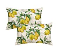 Artoid Mode Lot de 2 housses de coussin d'été - Motif feuilles de citron - 30 x 50 cm - Décoration saisonnière pour canapé, salon