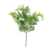artplants.de Branche décorative Fougère Femelle XINTIAN, Vert, 55 cm