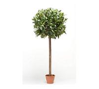 artplants.de Fausse Boule de Laurier DRODY, Vrai Tronc, Fruits, 150cm - Arbre Artificiel/Faux Laurier