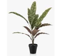 artplants.de Plante Artificielle Calathea Makoyana WIDO, 60 cm | dans Un Pot décoratif, Vert-Bordeaux - Fausse Plante Calathea