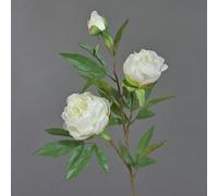 artplants.de Tige de Pivoine en Soie MANJA, Blanc, 70cm, Ø8-10cm - Pivoine Artificielle/Fausse Fleur