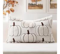 Artscope Lot de 1 Citrouille Housse de Coussin Doux Peluche Laine Courte Velours Décoration d'automne Housses de Coussin Luxe Style pour Canapé Chambre Beige - Citrouille Bordée 30 x 50 cm