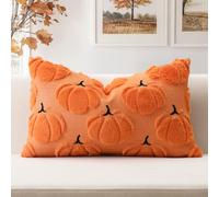 Artscope Lot de 1 Citrouille Housse de Coussin Doux Peluche Laine Courte Velours Décoration d'automne Housses de Coussin Luxe Style pour Canapé Chambre Orange - Mignon Citrouille 40 x 60 cm