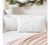 Artscope Lot de 2 Doux Peluche Laine Courte Velours Décoratif Housses de Coussin Luxe Style pour Canapé Chambre - Flocon de Neige Blanc, 40 x 60 cm