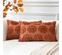 Artscope Lot de 2 Halloween Housse de Coussin Doux Peluche Laine Courte Velours Décoration d'automne Housses de Coussin Luxe Style pour Canapé Chambre Orange Foncé - Citrouille 40 x 60 cm