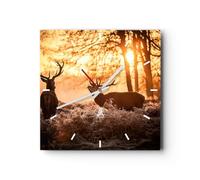 ARTTOR Horloge Décorative Moderne Carrée 40x40 cm Nature Animaux - 3043