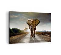 ARTTOR Impression sur Toile Moderne 100x70 cm Afrique Animaux - 0214 | Éléphant Chemin Moderne Tableau Décoratif Grand Décoration Murale Art Mural Toile Imprimée Salon Chambre Cuisine ARTTOR