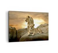 ARTTOR Impression sur Toile Moderne 100x70 cm Animaux - 2958 | Lions Ouest Soleils Moderne Tableau Décoratif Grand Décoration Murale Art Mural Toile Imprimée Salon Chambre Cuisine ARTTOR