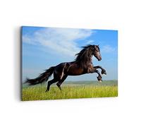 ARTTOR Impression sur Toile Moderne 100x70 cm Nature Animaux - 0495 | Cheval noir Galop Moderne Tableau Décoratif Grand Décoration Murale Art Mural Toile Imprimée Salon Chambre Cuisine ARTTOR