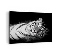 ARTTOR Impression sur Toile Moderne 100x70 cm Noir et Blanc Animaux - 4247