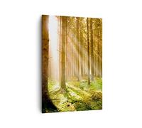 ARTTOR Moderne Impression sur Toile 70x100 cm Botanique Paysages - 0156