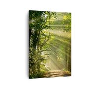 ARTTOR Moderne Impression sur Toile 70x100 cm Paysages Forêt - 3661