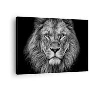 ARTTOR Moderne Impression sur Toile Portrait Lion Noir Et Blanc Image Tableau Decoration Murale 70x50cm Deco Cadre Décoration Salon Chambre Horizontal Tableaux Decoratifs Muraux Art Wall AA70x50-4494