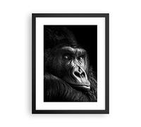 ARTTOR Poster Cadre Noir 30x40 cm Affiche Afrique Animaux - 5007 - P2B