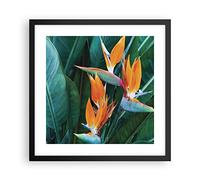 ARTTOR Poster Cadre Noir 40x40 cm Affiche Botanique Fleurs - 4980 - P2B